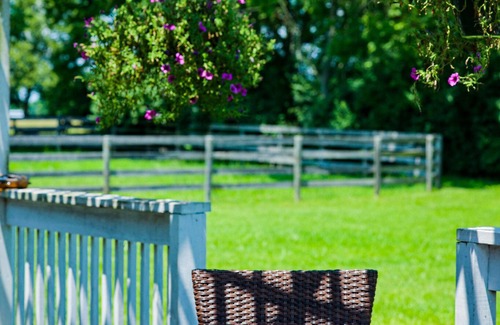 Lexington House | Horse Heaven! Pet friendly farm stay
