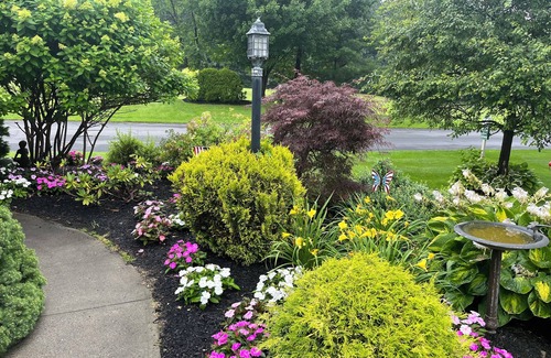 Saratoga Springs House | Horses & Courses 3300sqft on McGregor links Golf course.Hot tub and gazebo.
