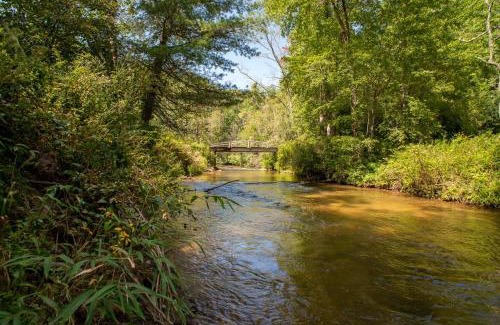 Asheville House | Horseshoe Hollow