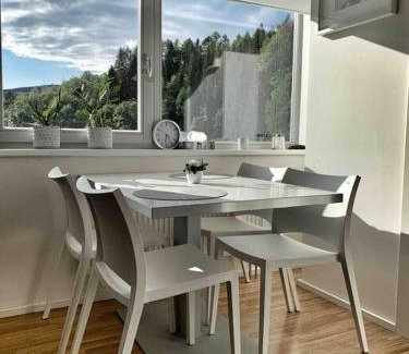 Rokytnice nad Jizerou Apartment | Horský apartmán s výhledem na Lysou horu