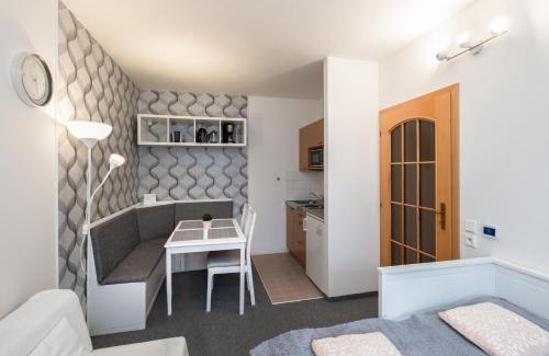 Rokytnice nad Jizerou Apartment | Horský apartmán ROKY - Krkonoše