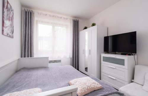 Rokytnice nad Jizerou Apartment | Horský apartmán ROKY - Krkonoše