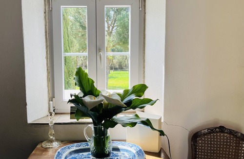 Faulha House | Horta's House - Come and Spend Your Holidays in Nature