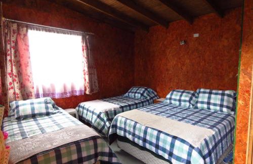 Lenca Apartment | Hospedaje Antulafquen Lenca