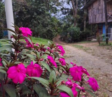 Pejibaye Bed & Breakfast | Hospedaje Luis & Ana