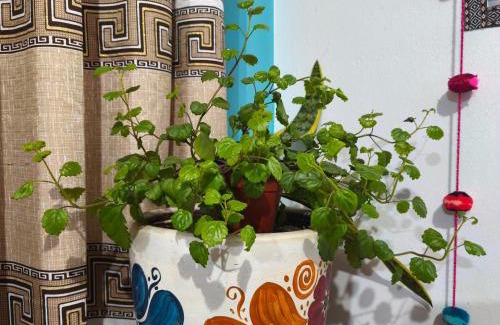 Cusco Bed & Breakfast | Hospedaje Qoricha'skas