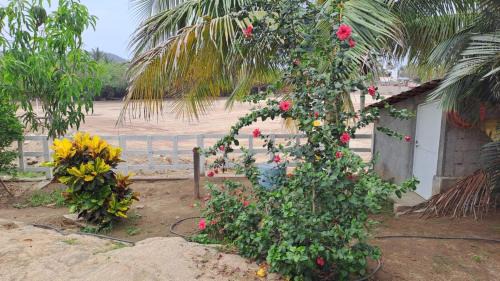 Santa Maria Huatulco House | Hospedaje san agustin