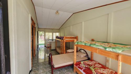 Copey Other | Hospedajes Richie Eco Camp