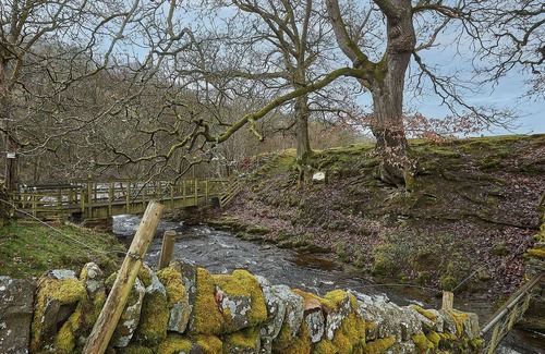 Barnard Castle House | Host & Stay | Dairy Cottage