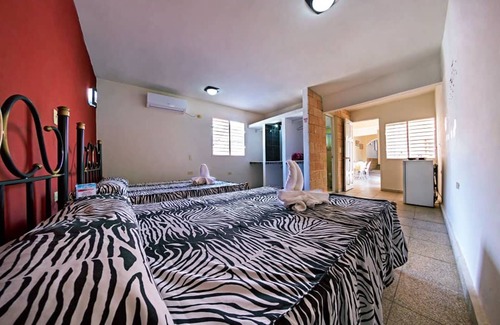 Trinidad House | Hostal Amenidades