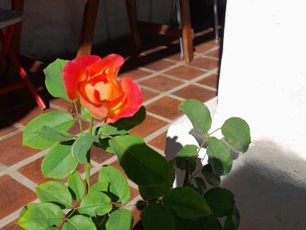Los Reartes House | Hostal Antigua Casa Criolla