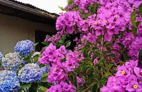 Concepcion House | Hostal Antonio Varas