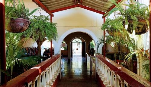 Leon House | HOSTAL CASA BELINDA