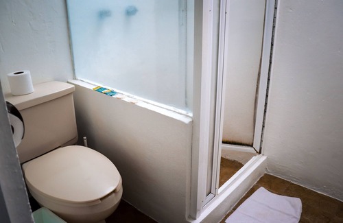 Del Carmen Hotel | Hostal Cuija Coyoacán