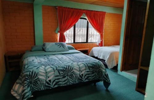Mindo House | Hostal el Bosque de Mindo