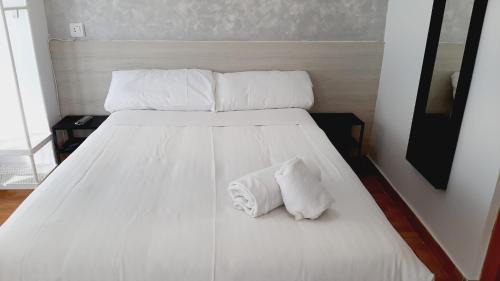 Labradores House | Hostal Lucia by gaiarooms
