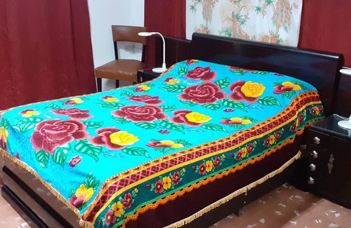 Old Havana House | Hostal Mendieta