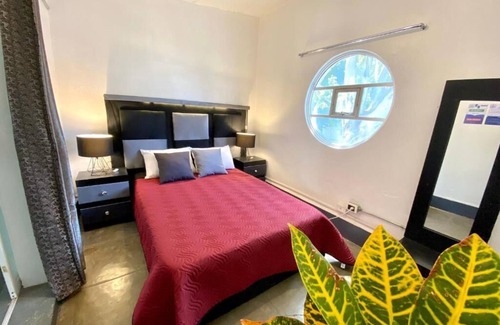 Colonia Cuauhtemoc Hotel | HOSTAL REFORMA