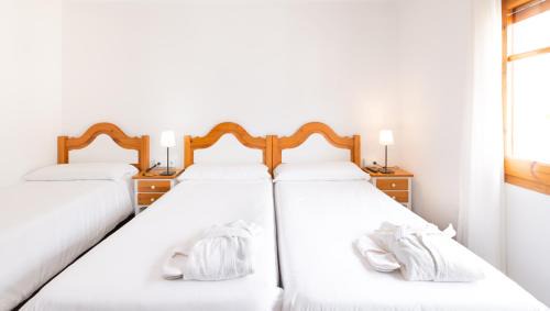Esterri D'Aneu House | Hostal Trainera