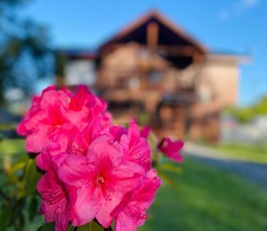 Pucon House | Hostal Treile