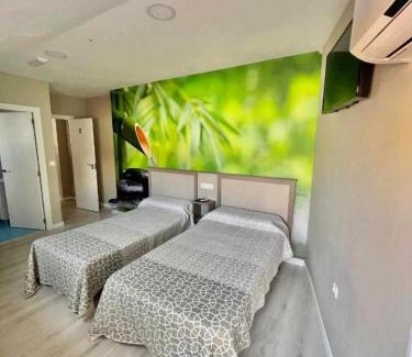 Albaicin Hotel | Hostal Viena Plaza Nueva