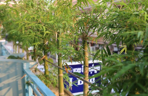 Downtown Siem Reap Hostel | Hostel ∙ 8 guests