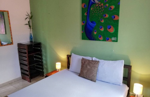 El Valle de Anton Hostel | Hostel ∙ 8 guests