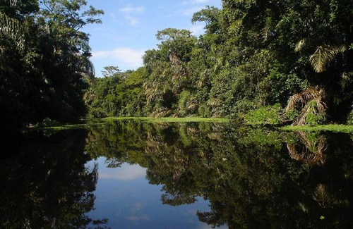 Tortuguero Hostel | Hostel ∙ 8 guests