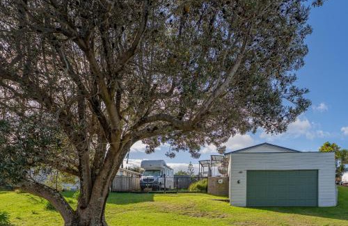 Pauanui House | Hosts on the Coast Cookies Cupboard