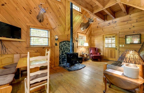 Asheville House | Hot Tub and Furnished Porch Balsam Grove Cabin