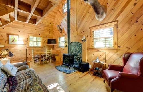 Asheville House | Hot Tub and Furnished Porch Balsam Grove Cabin