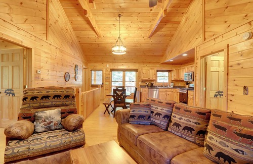 Blue Ridge Cabin | Hot Tub & Fire Pit: Secluded Blue Ridge Cabin!