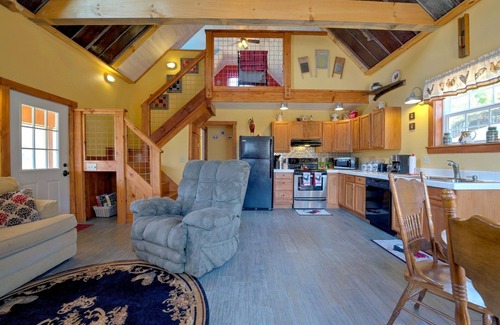 Marshall Cabin | Hot Tub, Hiking & Farm Stay + Biltmore Pass | Cozy Cabin w/Cattle Views