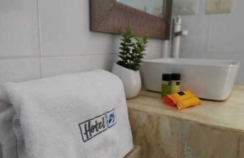 Monterrey Hotel | Hotel 25