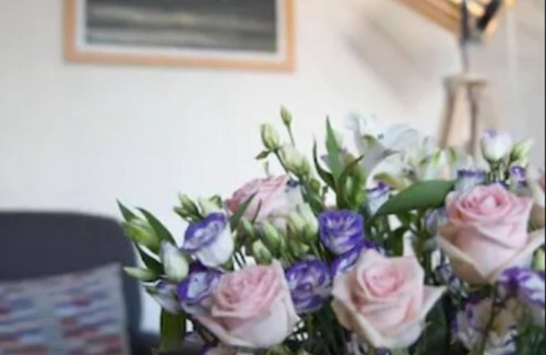 Cannes City Centre Hotel | Hotel Abrial