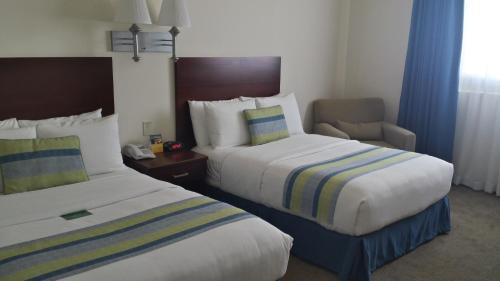 San Jose del Cabo Hotel | Hotel Aeropuerto Los Cabos