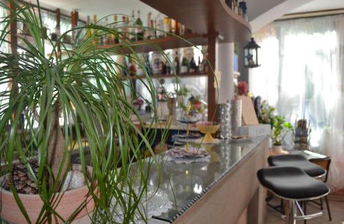 Rivazzurra Hotel | Hotel Alfredo's