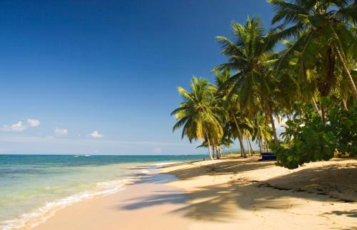 Las Terrenas Hotel | Hotel Alisei