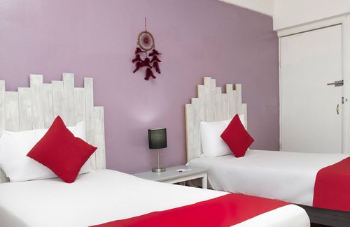 Chihuahua Hotel | Hotel Allende 104