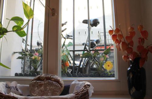Mitte Hotel | Hotel Amelie Berlin