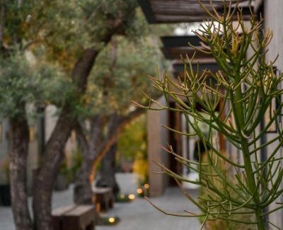 Valle de Guadalupe Hotel | Hotel Andana Winery & Spa