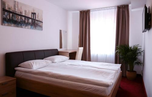 Centrul Vechi Hotel | Hotel Apollonia