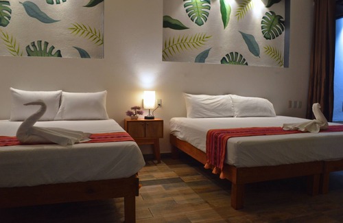 Puerto Escondido Hotel | Hotel Axolotl