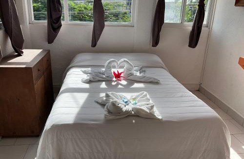 Colonia Centro Hotel | Hotel Bello Caribe