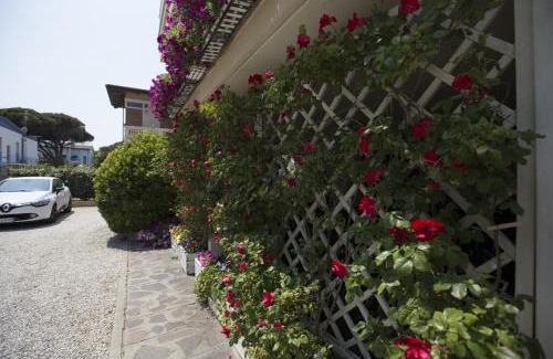 Cesenatico Hotel | Hotel Bisanzio