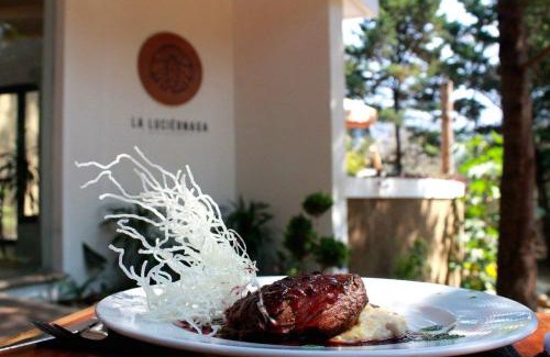 San Cristobal de las Casas Hotel | Hotel Bosques del Sol Suites