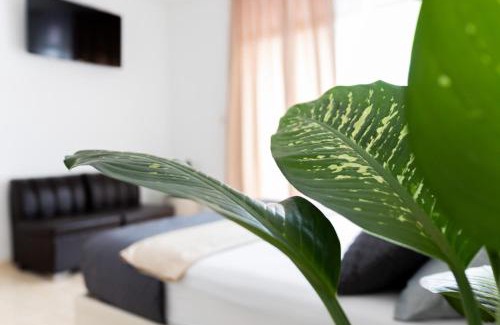 Corozal Hotel | Hotel Botanica