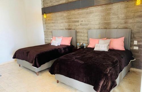 Parras de la Fuente Apartment | Hotel Boutique Embrujo Intuición