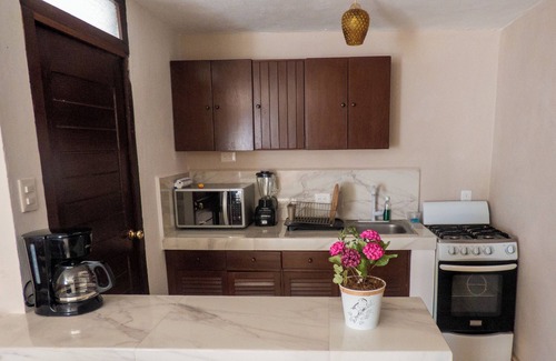 Zona Paseo Montejo Hotel | Hotel Boutique Flores y Gemas