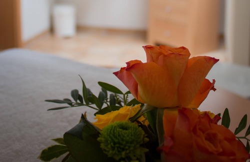 Kaiserslautern Hotel | Hotel Bremerhof